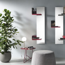 Multifunctional mirrors: CACTUS mirror with shelves by Memedesign